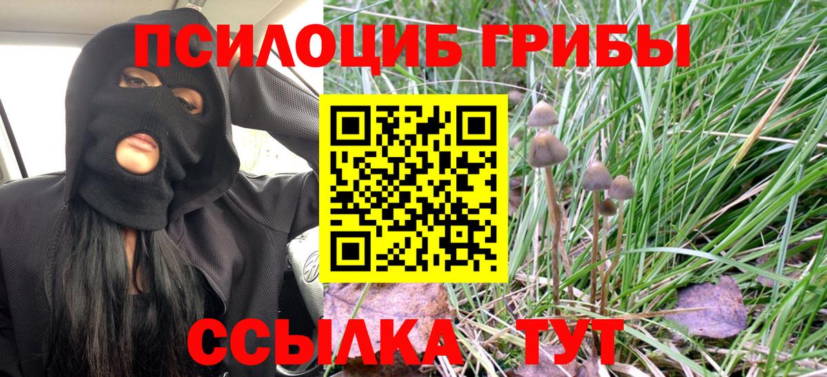 Галлюциногенные грибы Cubensis Новоуральск
